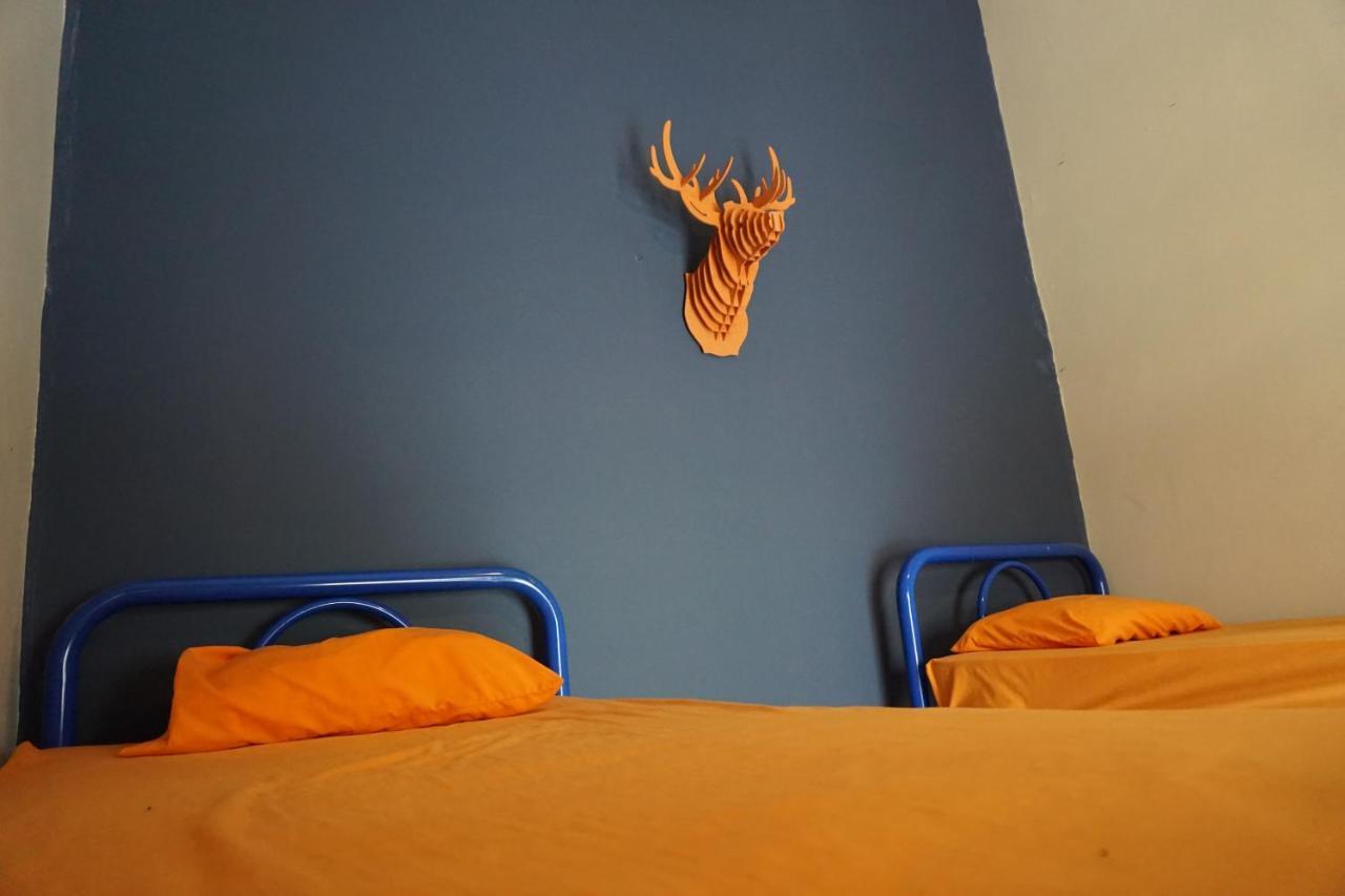 Blue Pepper Hostel Chapultepec Guadalajara Zewnętrze zdjęcie
