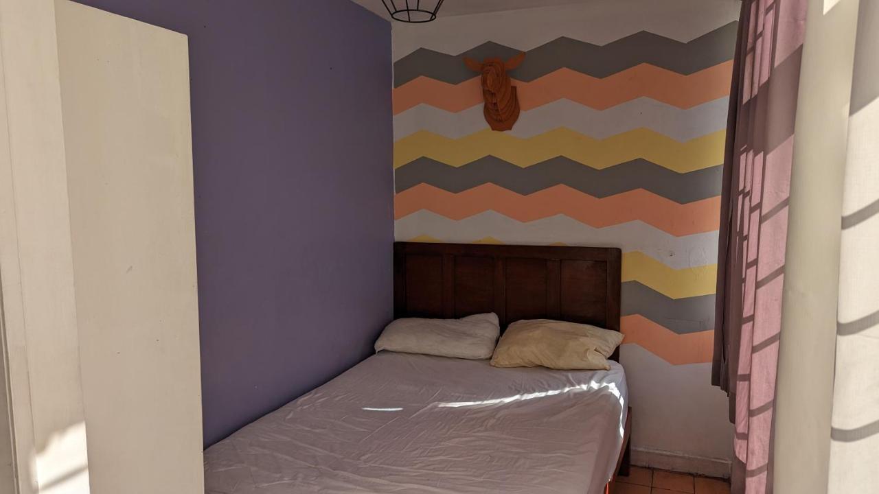 Blue Pepper Hostel Chapultepec Guadalajara Zewnętrze zdjęcie