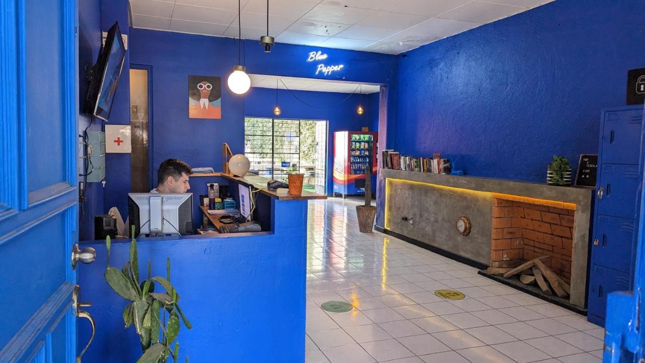 Blue Pepper Hostel Chapultepec Guadalajara Zewnętrze zdjęcie