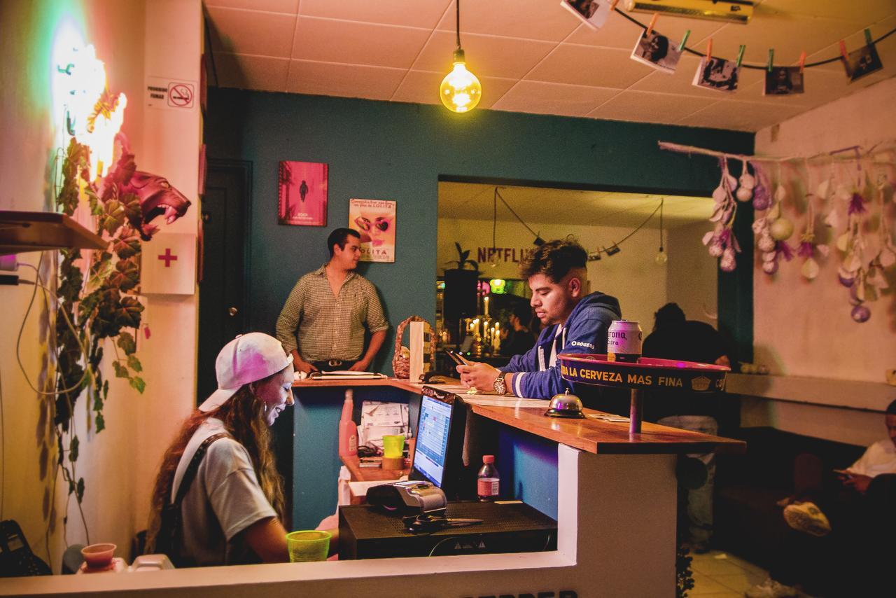 Blue Pepper Hostel Chapultepec Guadalajara Zewnętrze zdjęcie