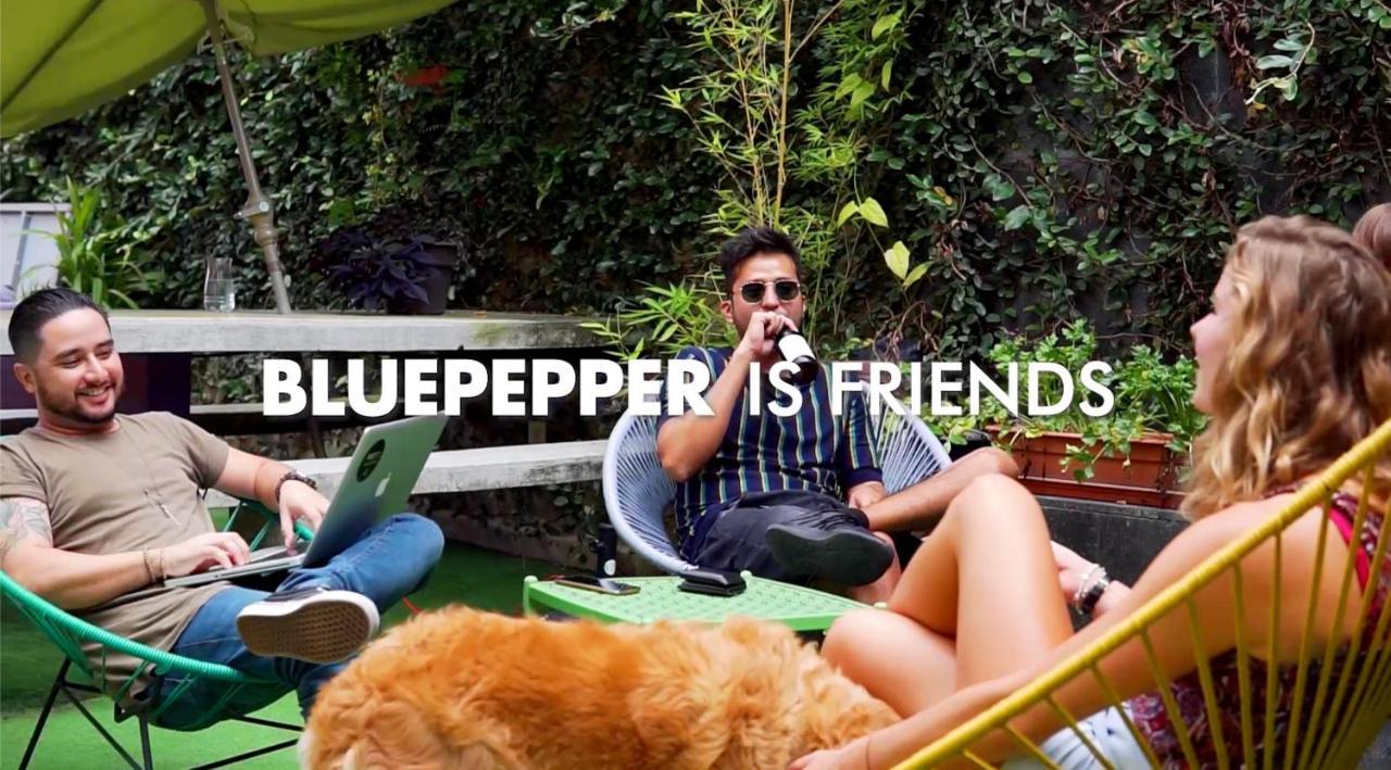 Blue Pepper Hostel Chapultepec Guadalajara Zewnętrze zdjęcie