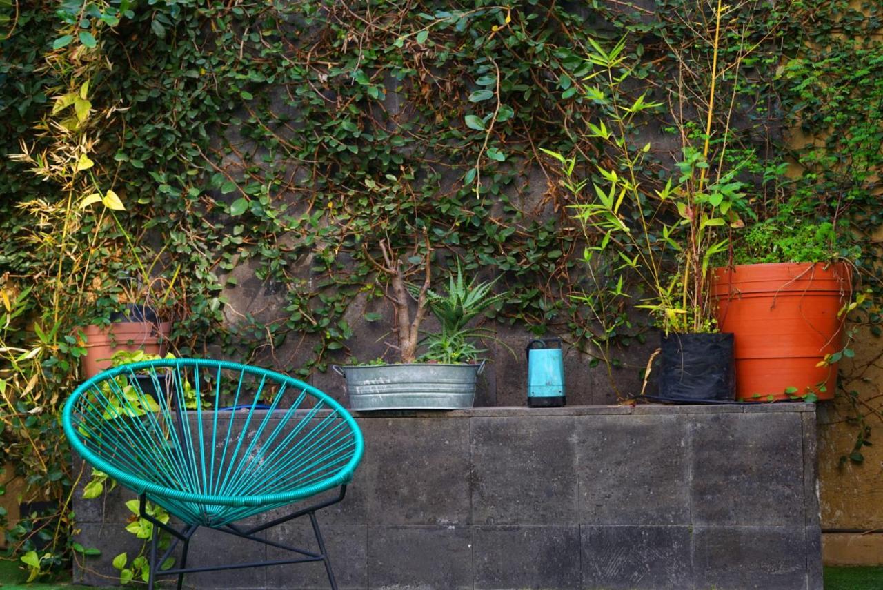 Blue Pepper Hostel Chapultepec Guadalajara Zewnętrze zdjęcie